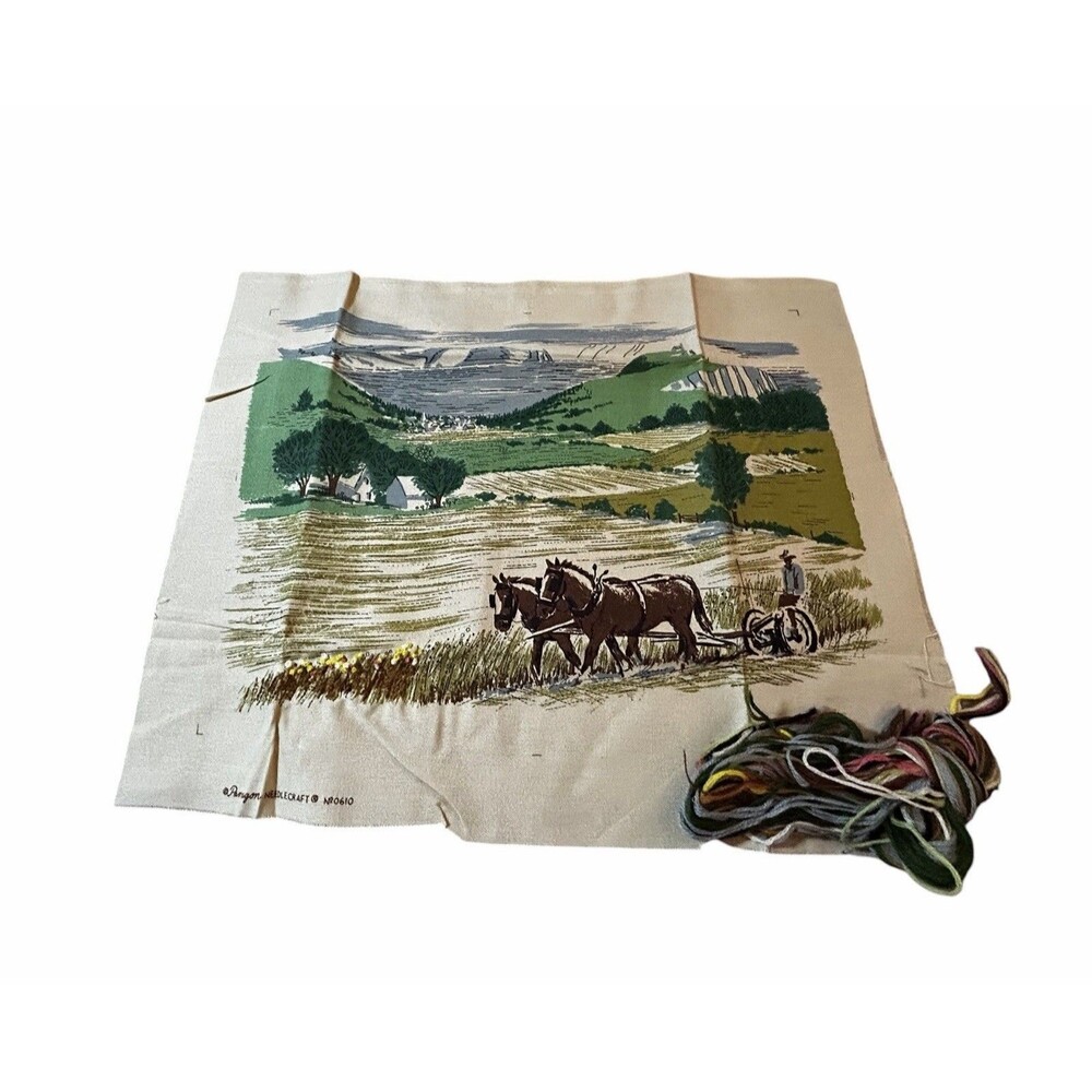 Vtg Paragon Crewel Embroidery Kit 0610 Started Contains Material & Yarn READ